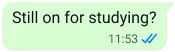 WhatsApp 文字气泡示例,其中写着“还要学习吗”